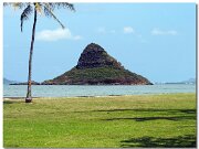 Mokohii_2013