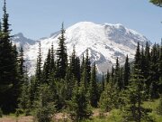 Mt_Ranier_2009_02