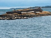 Victoria_2009_08