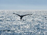 Northwest Images
